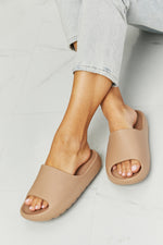 Beige Slides